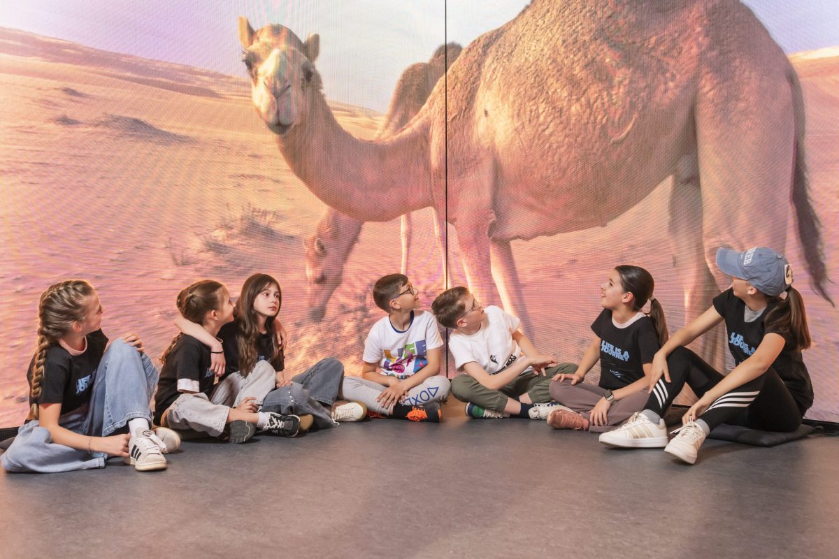 Travel Experience Museum - LED room