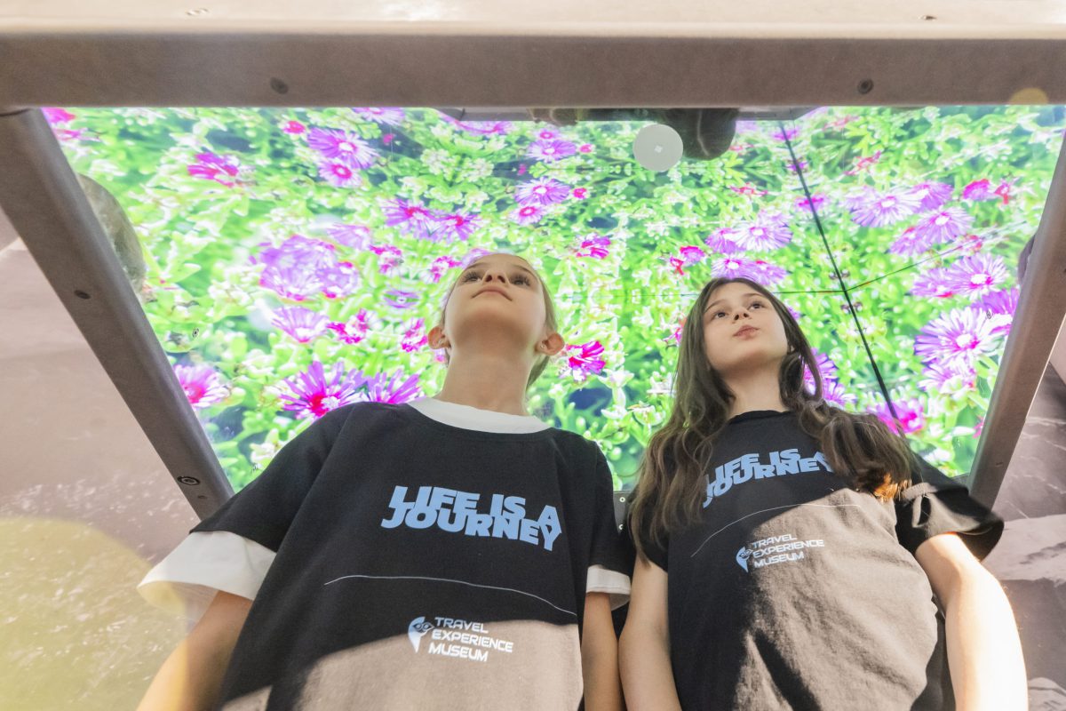 Travel Experience Museum - Croatia with all senses